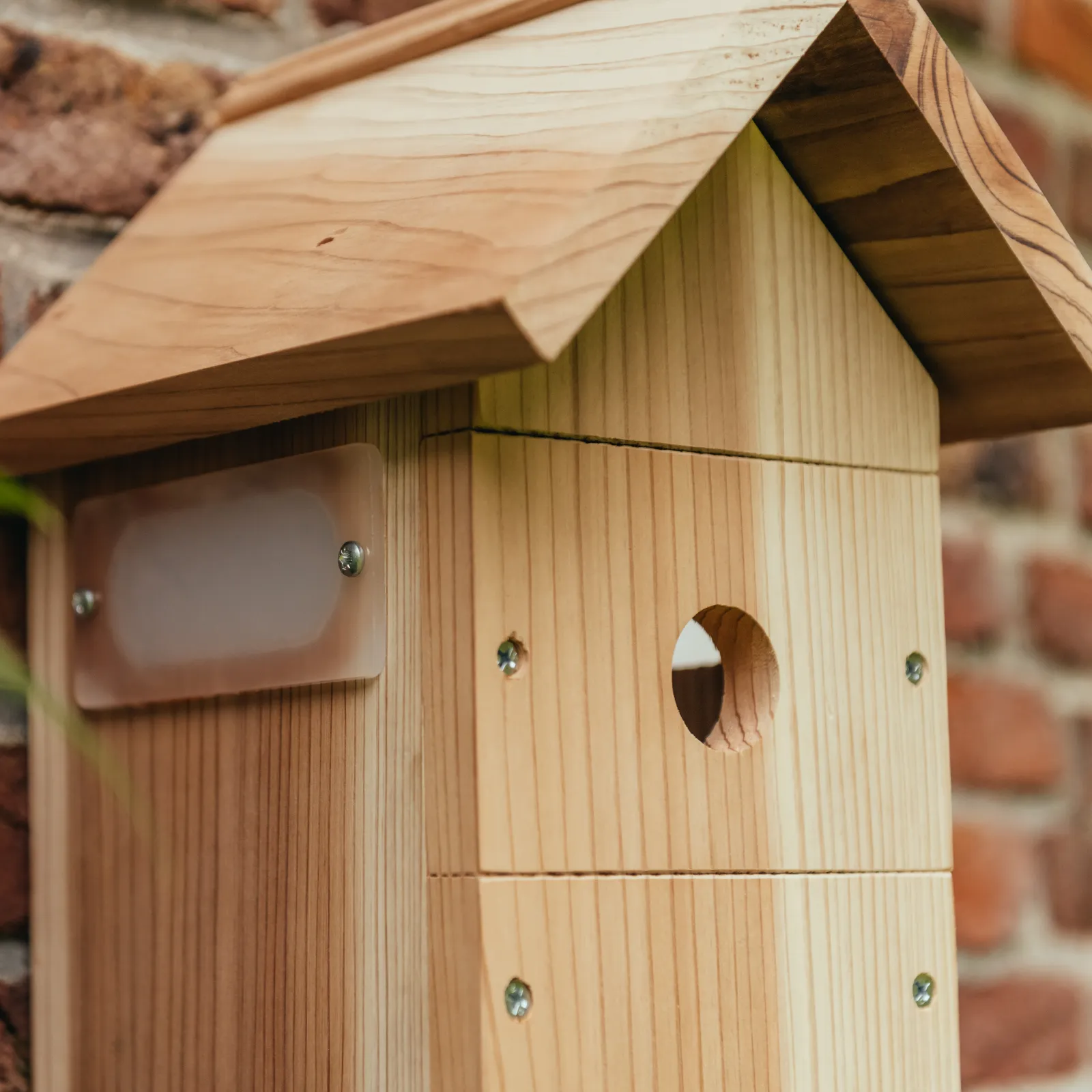 WiFi Bird Box Camera System